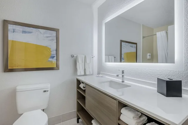 جناح استوديو بسرير كينج مع أريكة، Comfort Suites West Indianapolis - Brownsburg 4/4