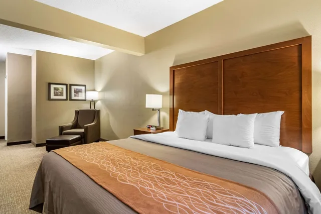 جناح بسرير كينج مع أريكة، Comfort Inn Suites Suwanee Sugarloaf 2/10