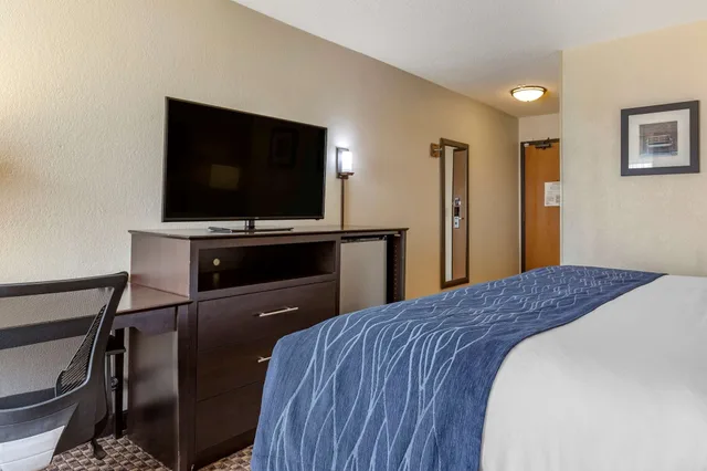 غرفة قياسية بسرير كينج، Comfort Inn Wings Stadium 1/5
