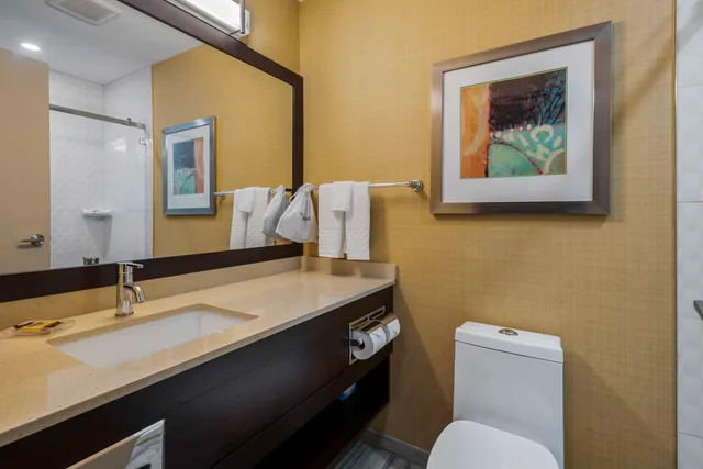 غرفة بسرير كينج لذوي الإعاقة، Best Western Plus Chateau Fort St. John 2/3