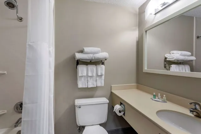 Standard, King Bed, Clarion Inn Sheffield Muscle Shoals 4/6