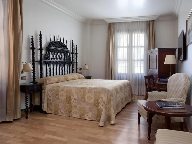 غرفة قياسية، Hotel Sercotel Palacio de Los Gamboa 1/2
