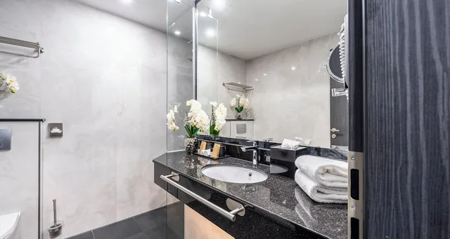Standard, King Bed, Lake Side، Plaza Premium Schwerin 5/7