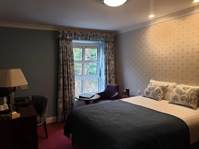 غرفة قياسية مفردة بسرير مزدوج، Dromhall Hotel 1/1