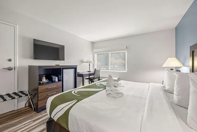 غرفة قياسية بسرير كينج، Quality Inn & Suites Tampa near Fairgrounds and Casino 4/10