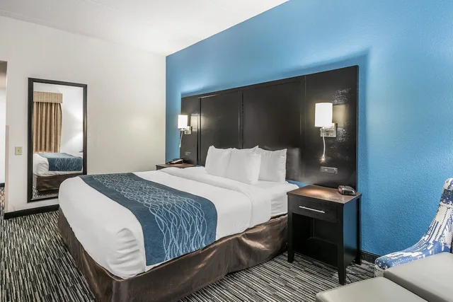 غرفة بسرير كينج لذوي الإعاقة، Comfort Inn Gainesville - University Area 1/3