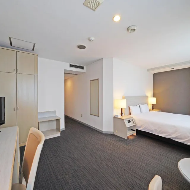 غرفة ديلوكس بسرير مزدوج للمدخنين، Chisun Hotel Kamata (ex Vista Kamata Tokyo) 1/4