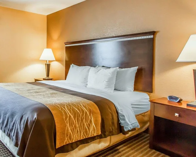 Standard, King Bed, Quality Inn & Suites Mount Pleasant 7/8