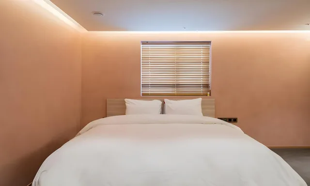 Room, King Bed, Jamsil Orosie Tourist Hotel 1/1