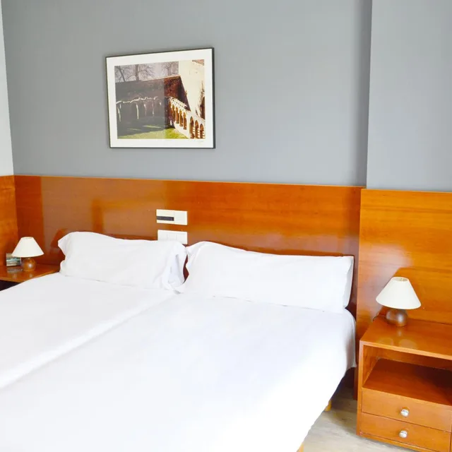 Standard, Double or Twin Bed, Hotel Alda Ciudad de Soria 3/9