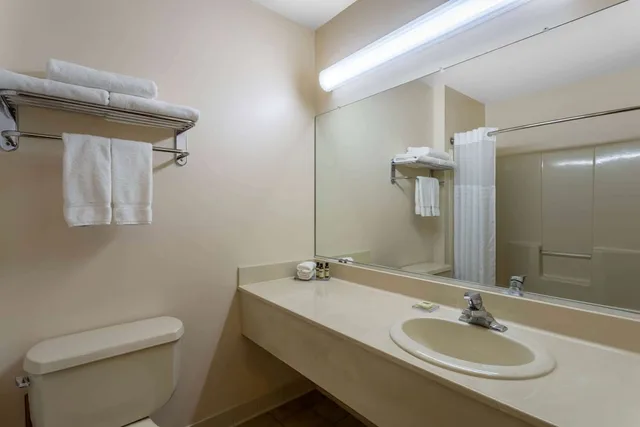 جناح استوديو بسرير كينج لذوي الإعاقة، HAWTHORN SUITES BY WYNDHAM ALLENTOWN-FOGELSVILLE 4/5