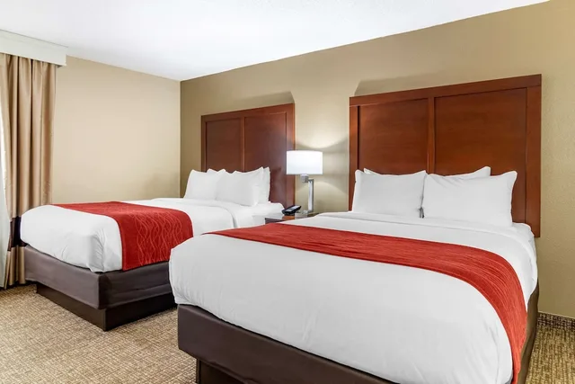 جناح بسريرين كوين، Comfort Inn And Suites Macon 2/5