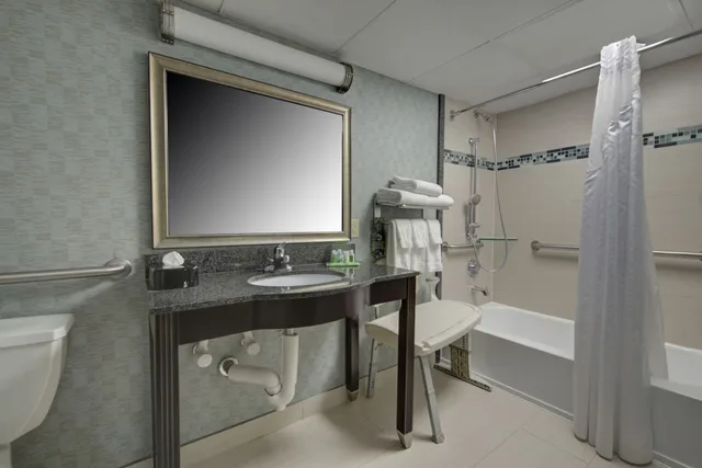غرفة قياسية بسرير كينج لذوي الإعاقة، Holiday Inn Plainview-Long Island 5/5