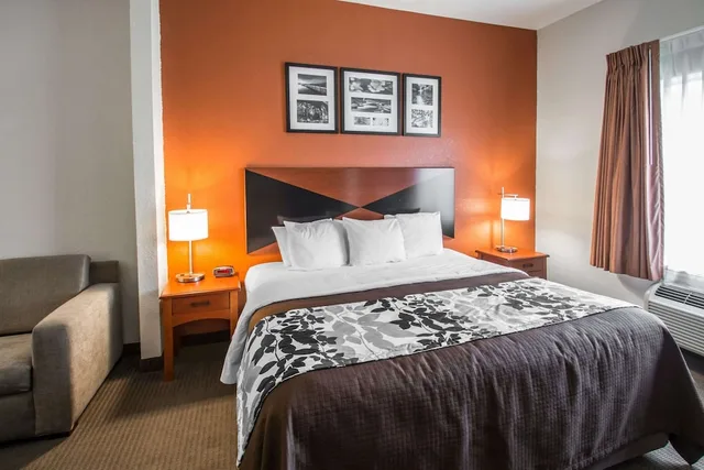 جناح بسرير كينج مع أريكة لذوي الإعاقة، Sleep Inn & Suites Palatka North 2/8