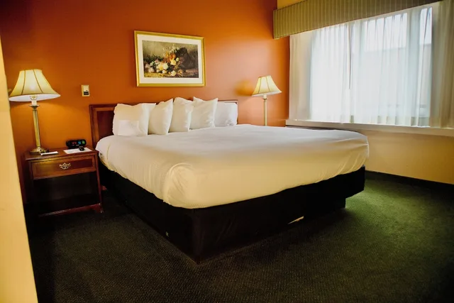 غرفة سوبيريور لذوي الإعاقة، Hotel Mead 9/10