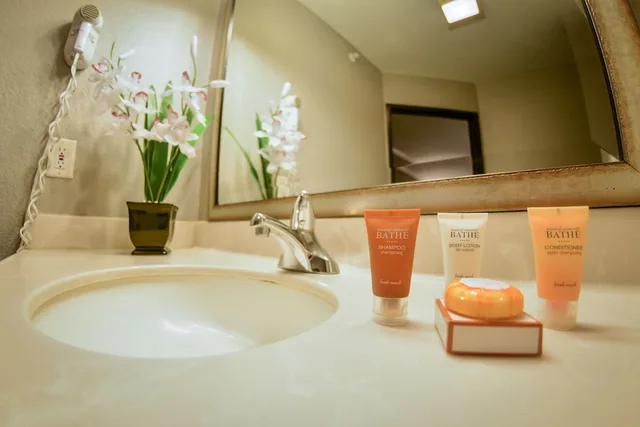 غرفة بسريرين كوين لذوي الإعاقة، Tanglewood Resort on Lake Texoma, Ascend Hotel Collection 4/5