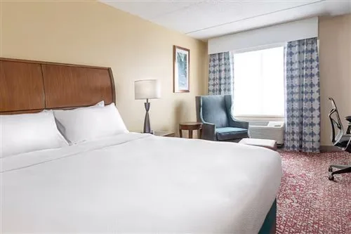 Standard, Hilton Garden Inn Cleveland Downtown 1/1