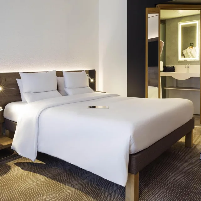 غرفة سوبيريور بسرير كوين مع أريكة، NOVOTEL LAUSANNE BUSSIGNY 4/10