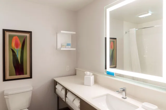 غرفة بسريرين كوين مع أريكة لذوي الإعاقة، Hampton Inn Holland 2/3