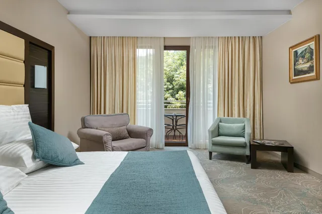 غرفة ديلوكس بسرير مزدوج، PARK PIRIN HOTEL 3/4
