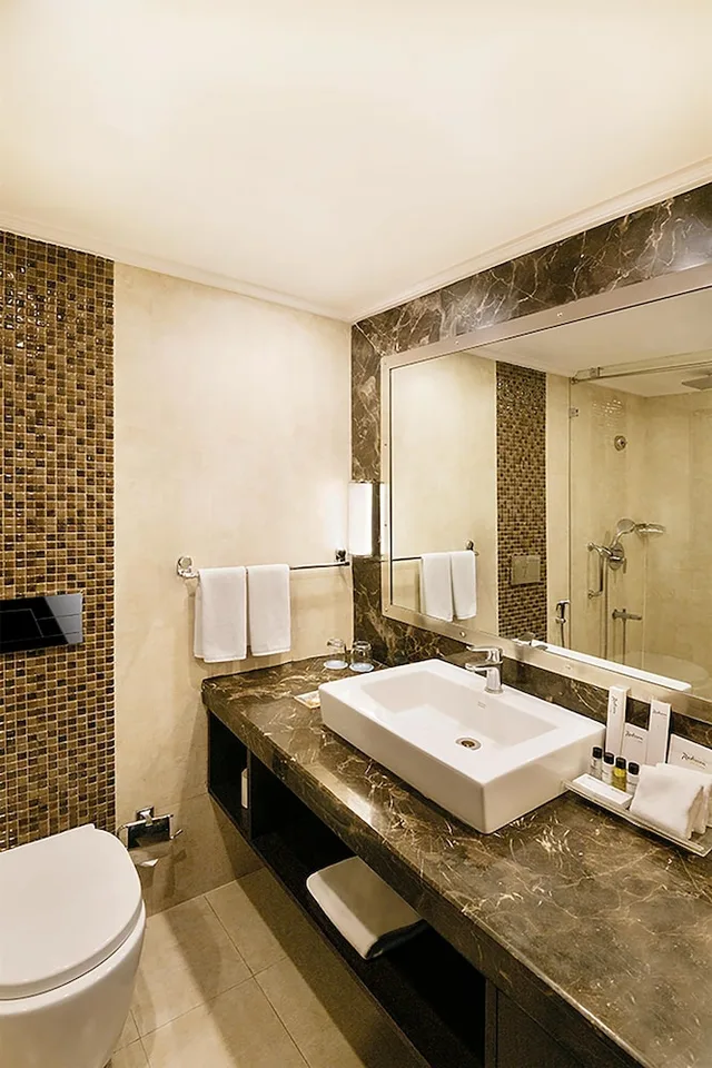 غرفة قياسية، RADISSON JAIPUR CITY CENTER 6/8