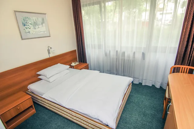 غرفة قياسية مفردة، Grand Sarajevo 2/3