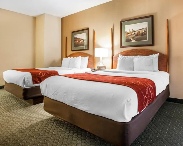 جناح رئاسي بسريرين كينج بغرفة نوم واحدة، COMFORT SUITES MILWAUKEE AIRPORT 1/10