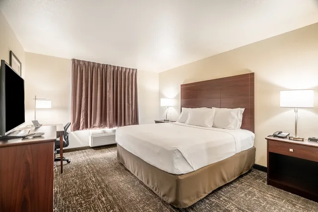 غرفة بسرير كينج لذوي الإعاقة، Cobblestone Hotel & Suites - Newport 3/8