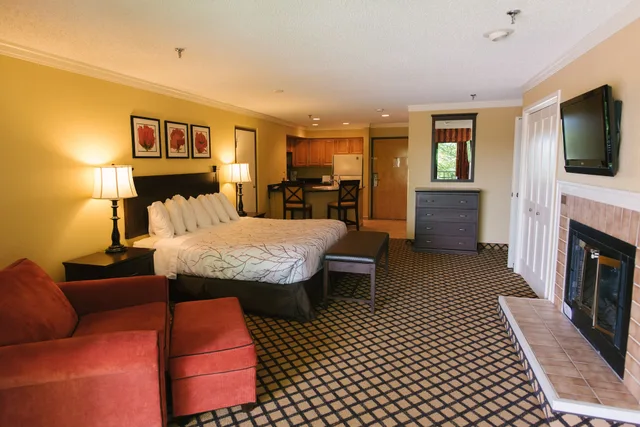 Studio, Parlor، Shanty Creek Resorts - Summit Village 1/1