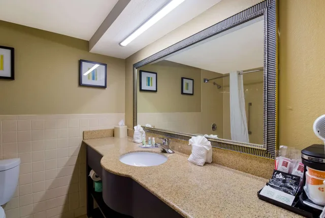 غرفة قياسية بسرير كينج بحوض استحمام لذوي الإعاقة، Quality Inn Houston East I-10 2/2