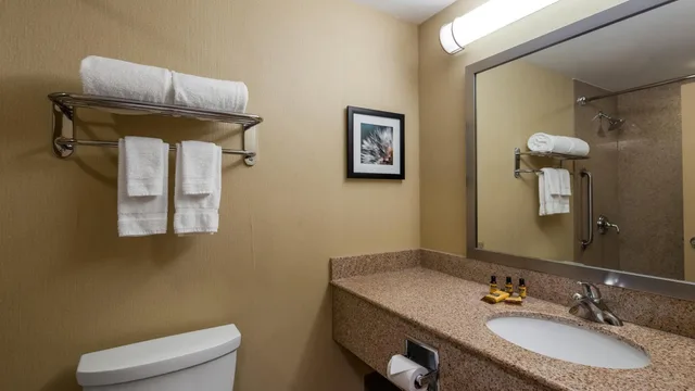 جناح بسرير كينج بجاكوزي، Best Western Plus Barrie 2/4