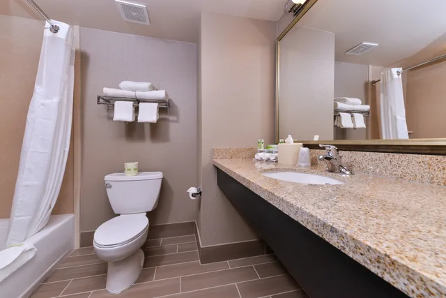 Feature, King Bed، Holiday Inn Express Hotel & Suites Indio - Coachella Valley 4/4