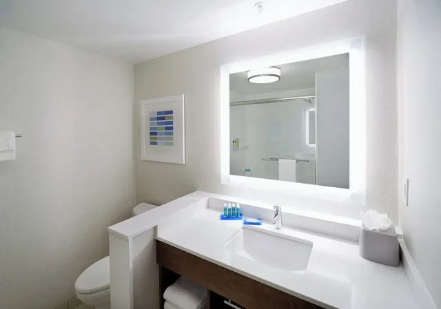 غرفة قياسية بسرير كينج لذوي الإعاقة، Holiday Inn Express Suites Cincinnati North Liberty Way 3/5