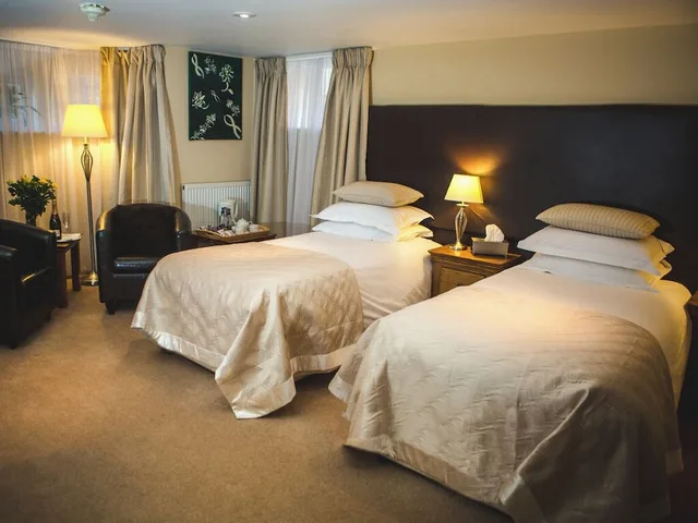 غرفة سوبيريور بسرير كينج، Somerville House Guest House 3/6