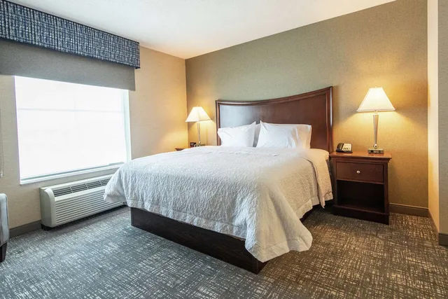 جناح بسرير كينج بغرفة نوم واحدة مع أريكة، Hampton Inn Presque Isle Maine 4/5