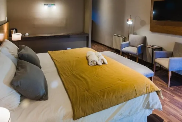 غرفة جونيور بسرير كينج، Plaza Paradiso Petit Hotel 3/3