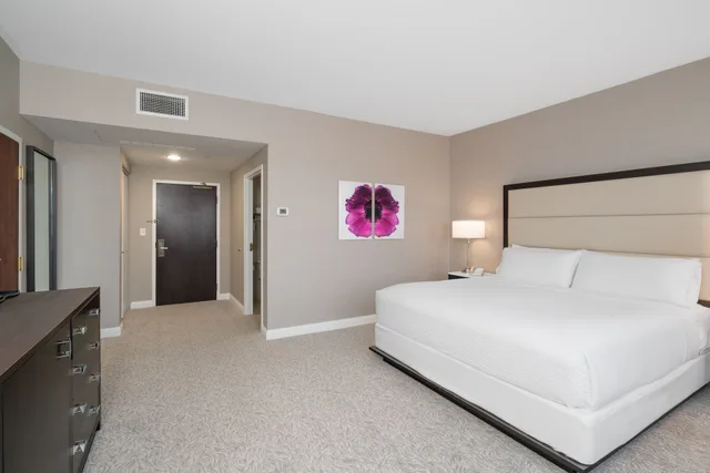 Premium, King Bed, Holiday Inn Wilmington 1/6