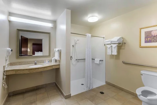 Efficiency, Suite, King Bed, Sofa، Comfort Suites Elkridge Columbia Gateway 3/5
