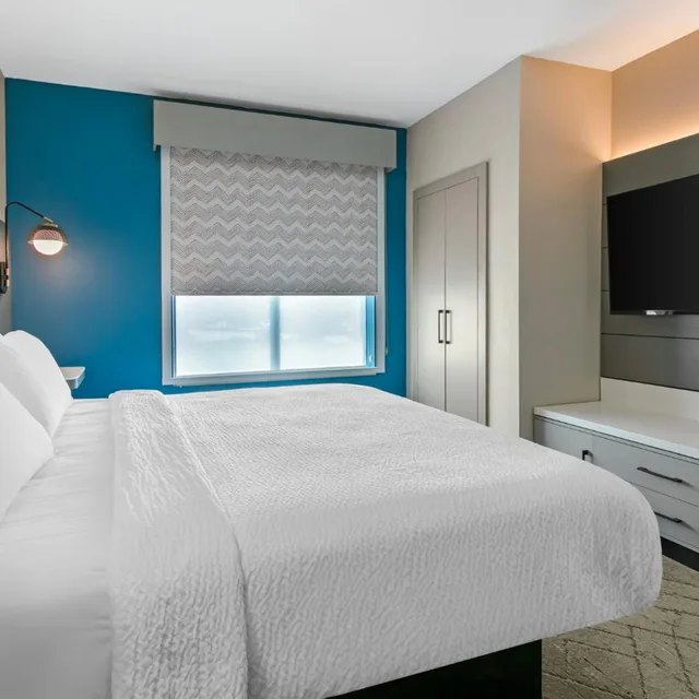 جناح تنفيذي بسرير كينج، Holiday Inn Express & Suites Clemson - Univ Area 3/4