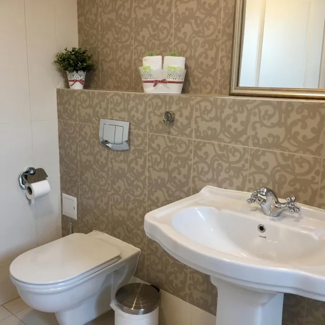 غرفة ديلوكس بسرير مزدوج، Family Hotel Agoncev 5/10
