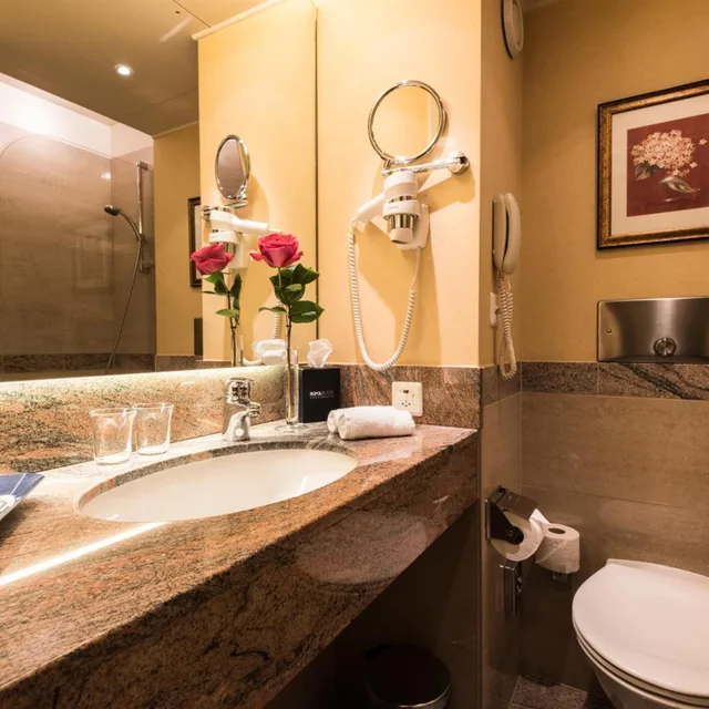 غرفة قياسية بسرير مزدوج، Royal Plaza Montreux Hotel 6/8