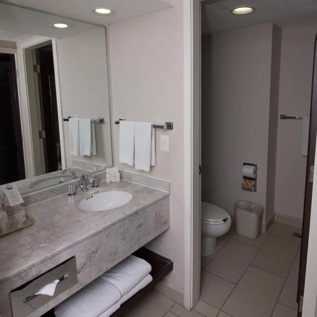 غرفة مفردة، CHN Hotel Monterrey Centro, Trademark Collection by Wyndham 5/8