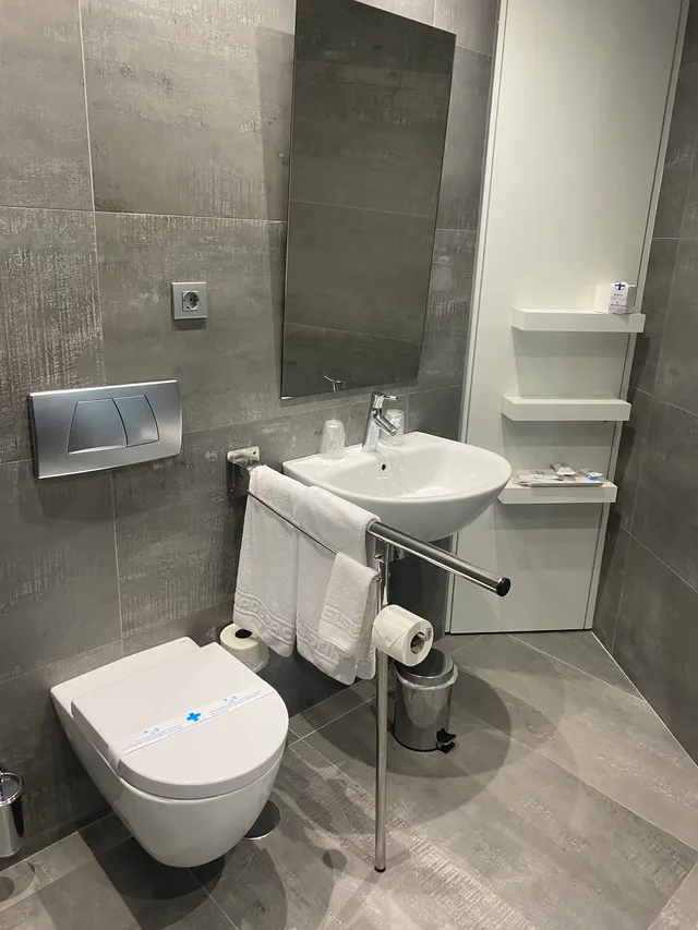 غرفة بسرير مزدوج أو سريرين منفصلين لذوي الإعاقة، Madeira Centro Hotel 9/10