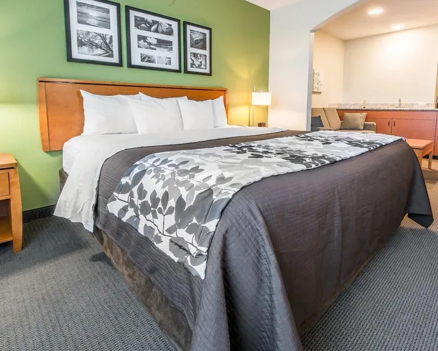 جناح بسرير كينج مع أريكة، Sleep Inn and Suites Winchester 1/4