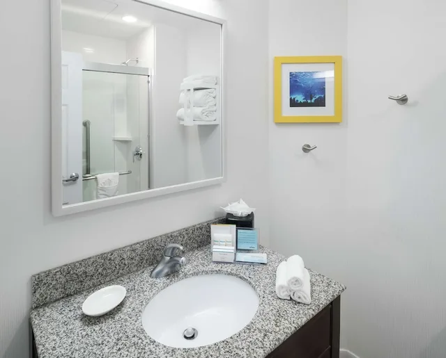 جناح بسريرين كوين مع أريكة لذوي الإعاقة، Hampton Inn and Suites Atlanta Downtown 4/4