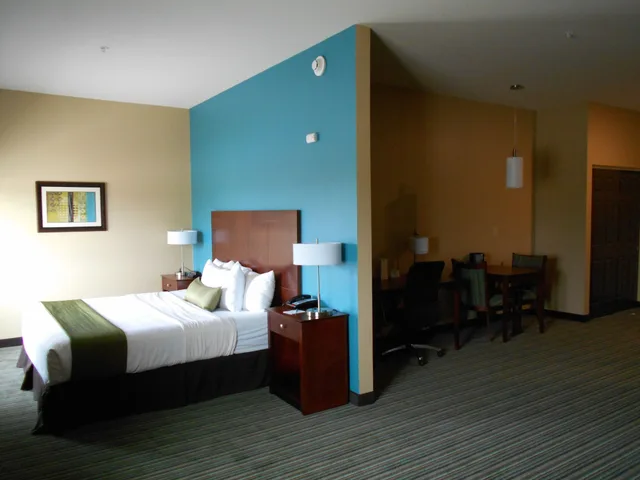 جناح بسرير كينج بمطبخ، Best Western Plus Patterson Park Inn 3/10