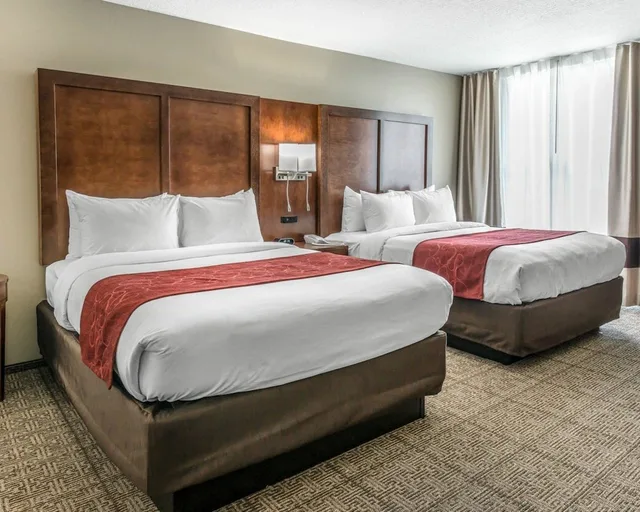 جناح بسريرين كوين مع أريكة لذوي الإعاقة، Comfort Suites Dunnellon near Rainbow Springs 6/10