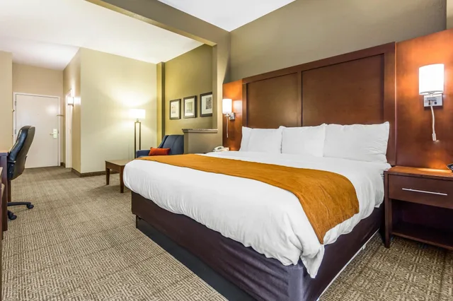 Suite, King Bed, Sofa, Comfort Suites At The University 4/10
