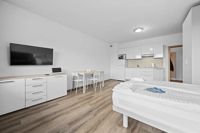 Studio apartment for 2 persons with balcony، Prague City Residence 5/8