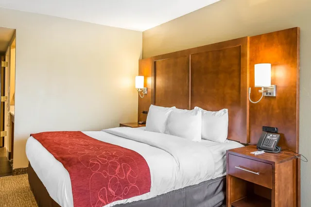 جناح بسرير كينج مع أريكة لذوي الإعاقة، Comfort Inn and Suites Aberdeen Near Apg 4/9
